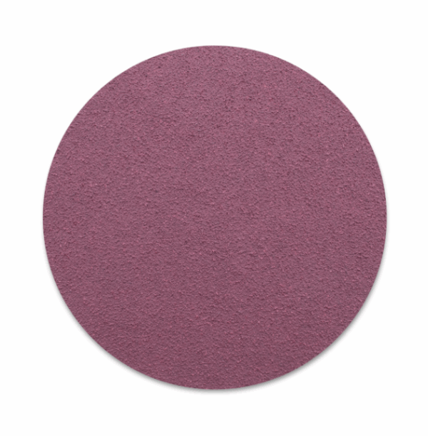 1950 Siaspeed Sanding disk